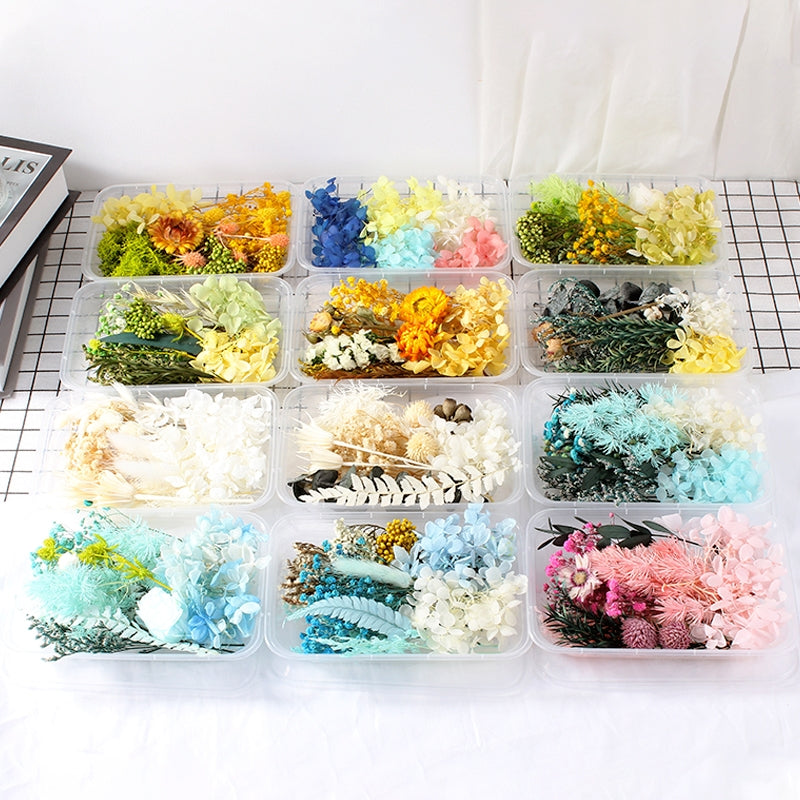 Paquet de matériel floral préservé en boîte de vraies fleurs séchées à l'air b3