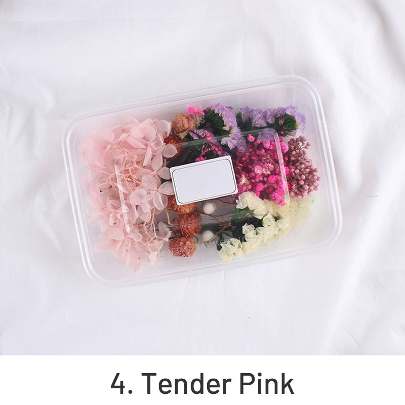 Coffret de Matériaux Floraux Conservés de Vraies Fleurs Séchées à l'Air sku-4