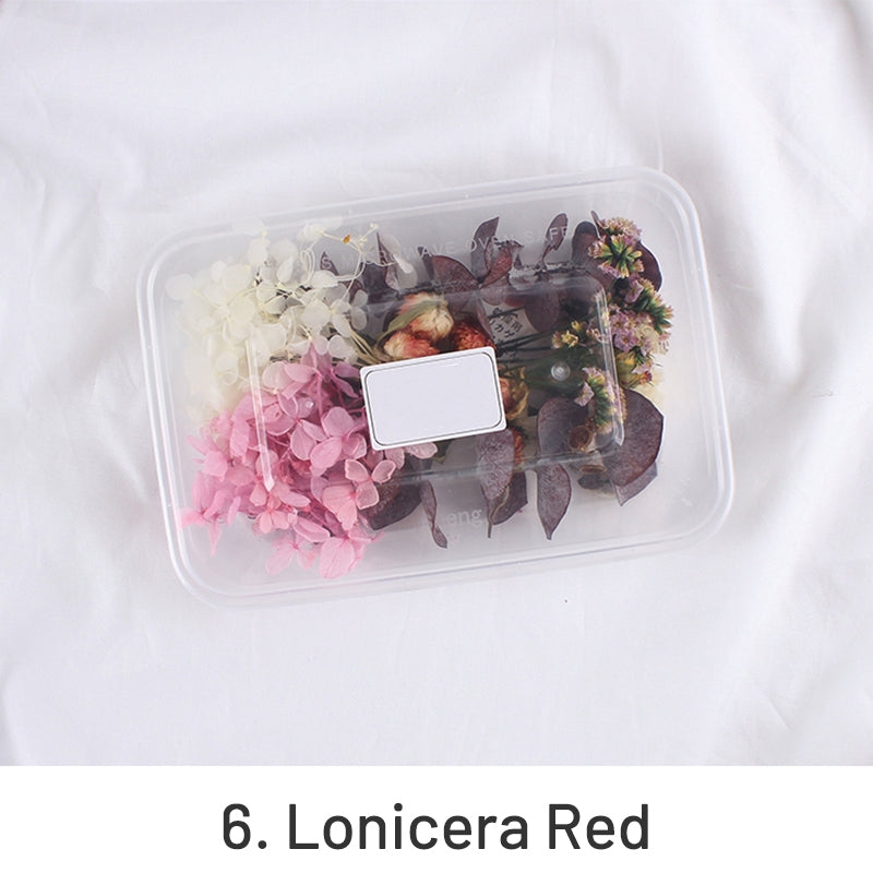 Matériau floral préservé séché à l'air véritable en boîte Pack sku-6