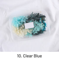 10. Bleu Clair