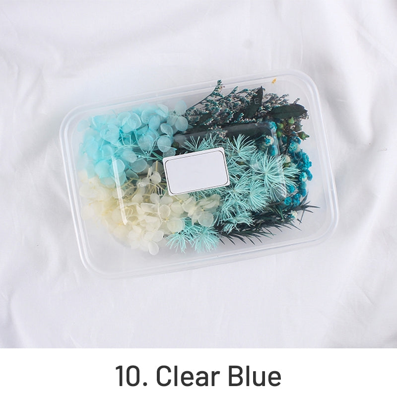 Matériel Floral Préservé Séché à l'Air en Boîte Pack de Vraies Fleurs sku-10