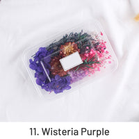 11. Violet Glycine