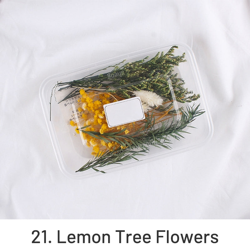 Matériau floral préservé séché à l'air véritable en boîte pack sku-21