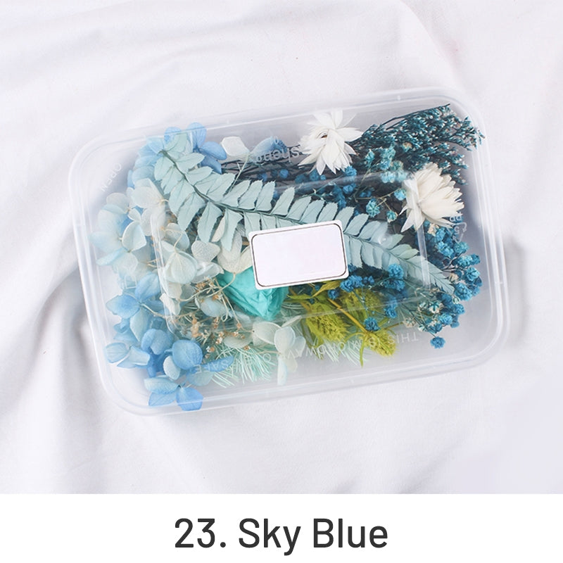 Pack de Matériau Floral Conservé en Boîte de Vraies Fleurs Séchées à l'Air sku-23