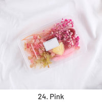24. Rose