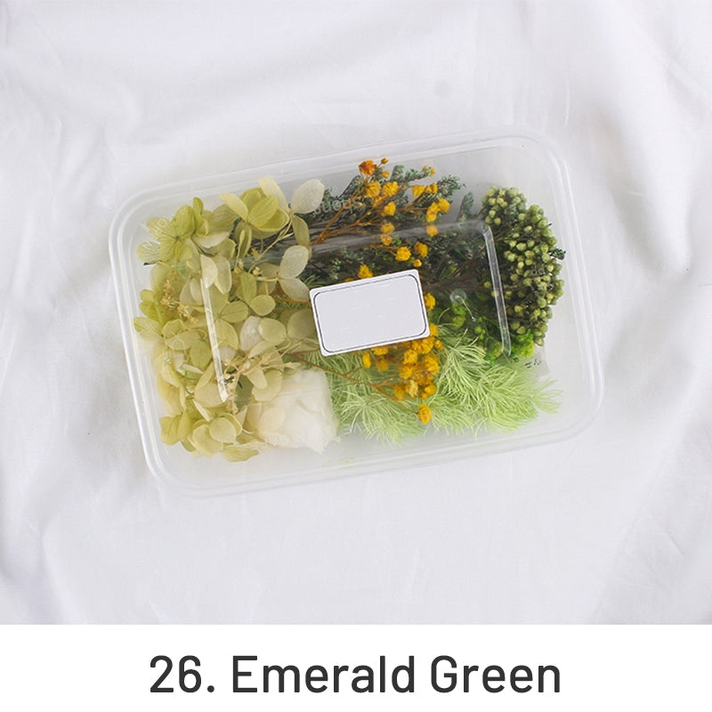 Matériau floral conservé séché à l'air véritable en boîte pack sku-26