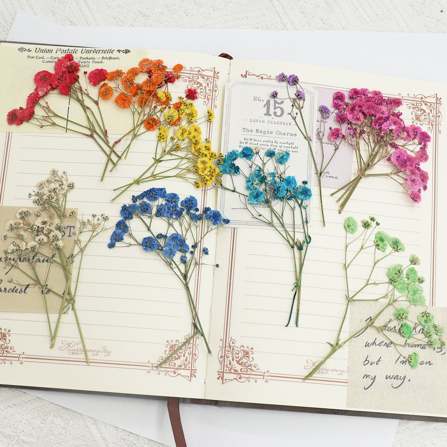 Pack de Matériaux de Fleurs Séchées DIY Gypsophile 4
