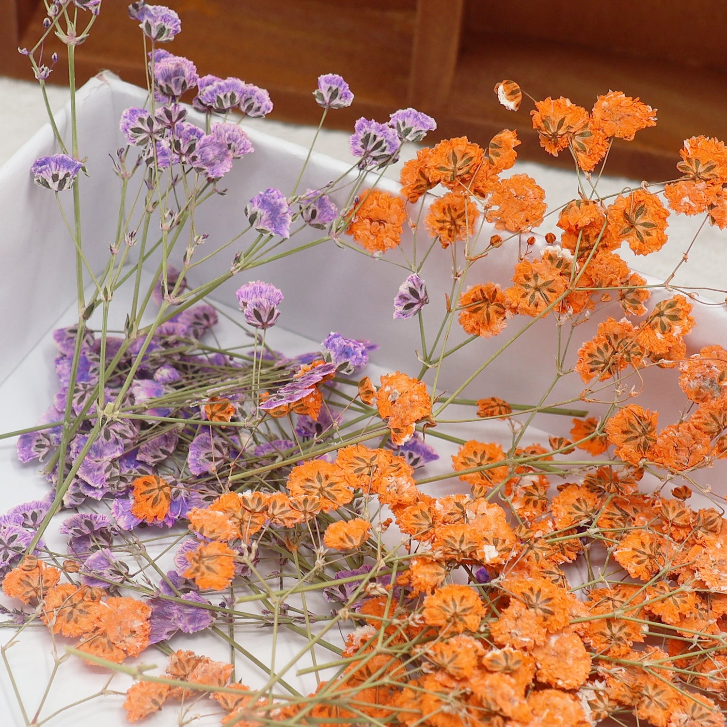 Pack de Matériaux de Fleurs Séchées DIY Gypsophile 2