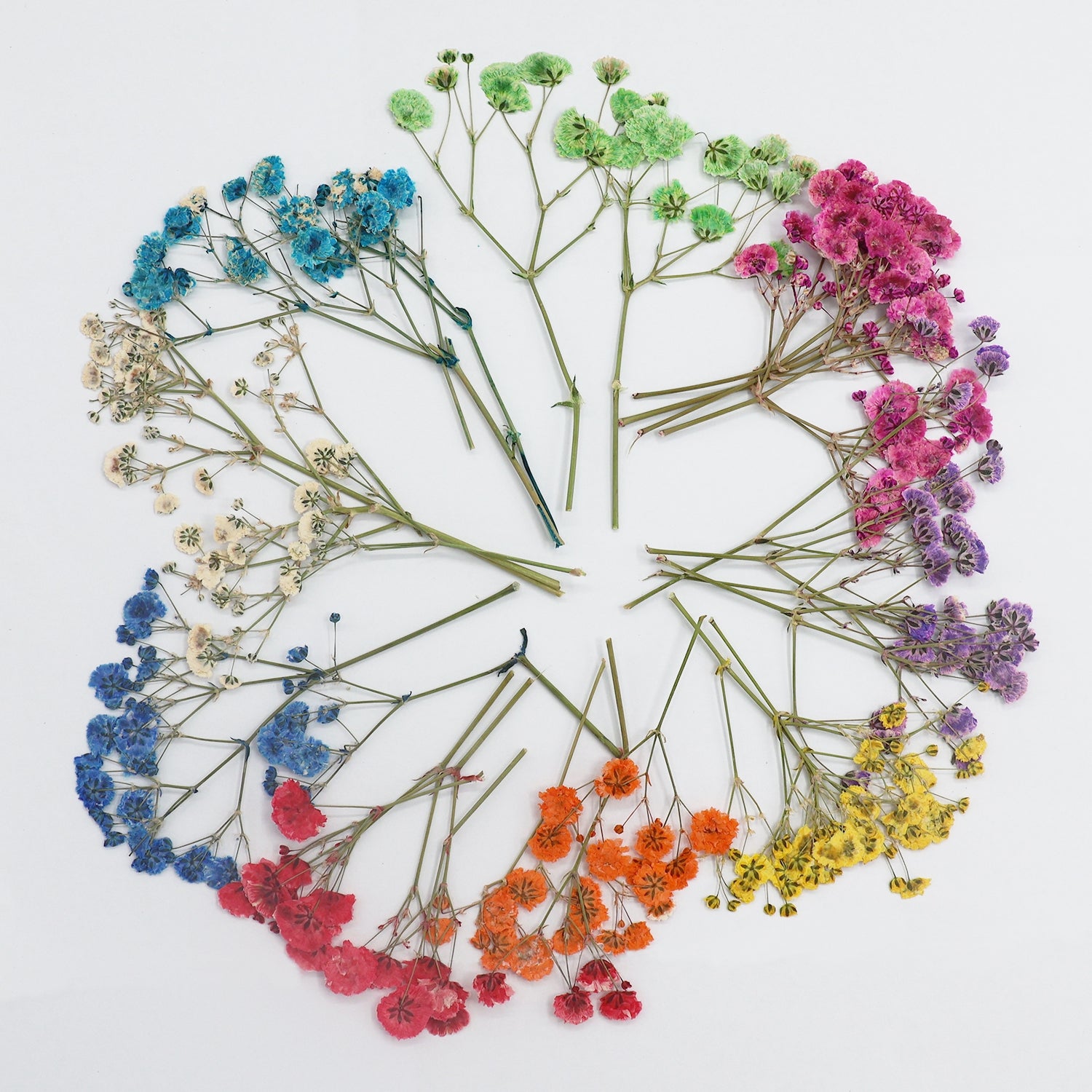 Pack de Matériel de Fleurs Séchées DIY Souffle de Bébé 6