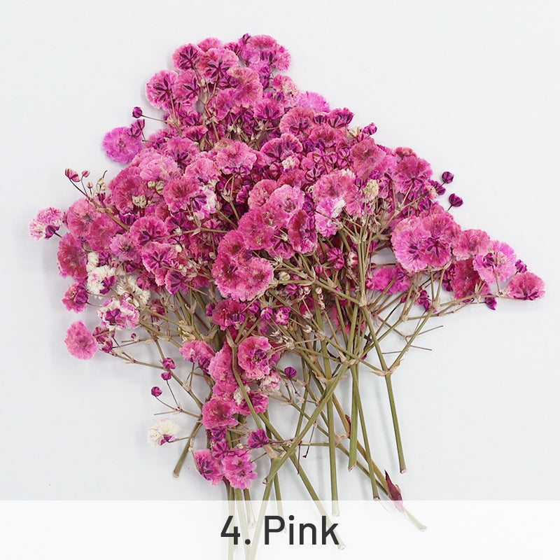 Pack de Matériel de Fleurs Séchées DIY Gypsophile sku-4