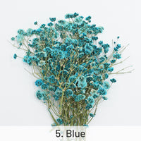 5. Bleu