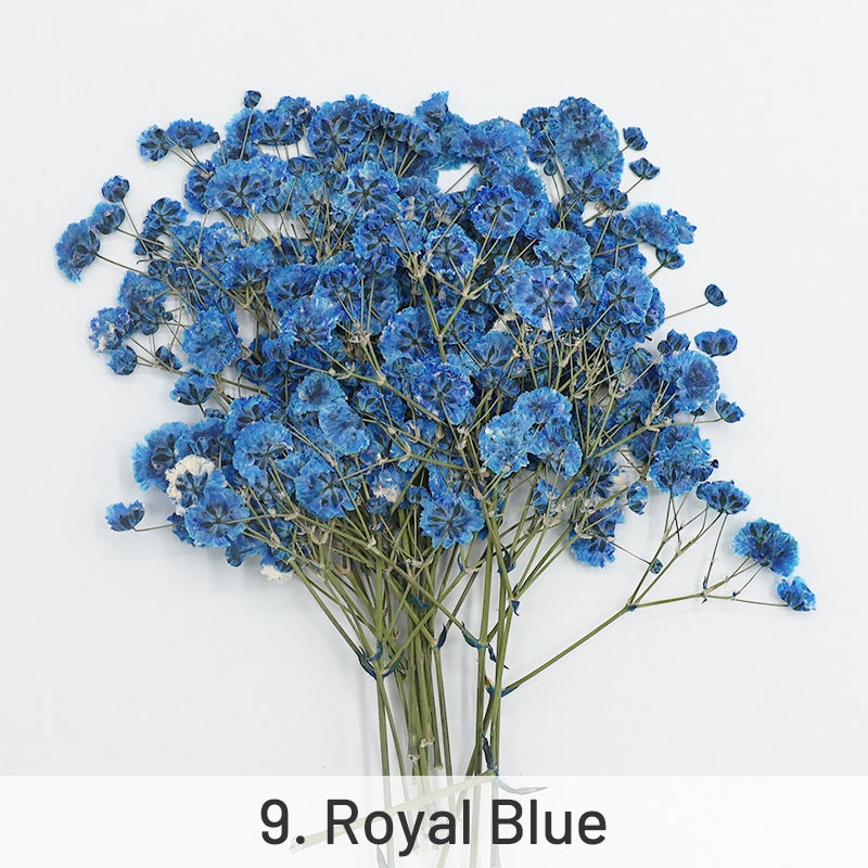 Pack de Matériaux de Fleurs Séchées DIY Gypsophile sku-9