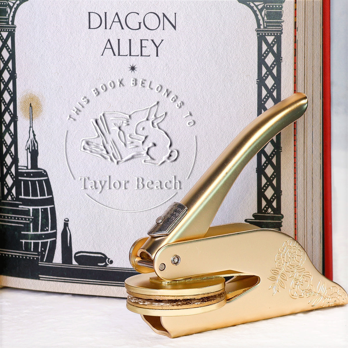 Timbre à sec de livre personnalisé lapin de la bibliothèque1