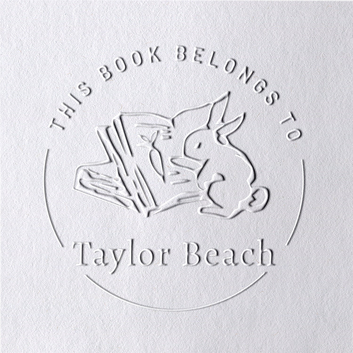 Timbre à sec de livre personnalisé lapin de la bibliothèque2