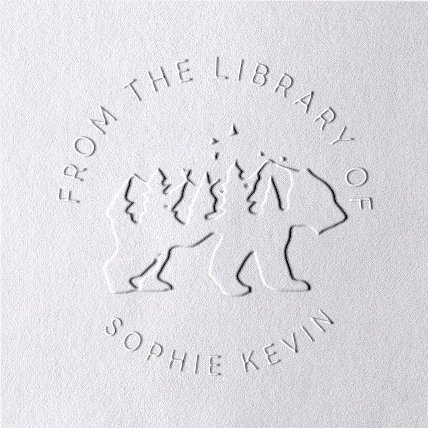 Timbre à sec de livre Ours polaire personnalisé de la bibliothèque de2